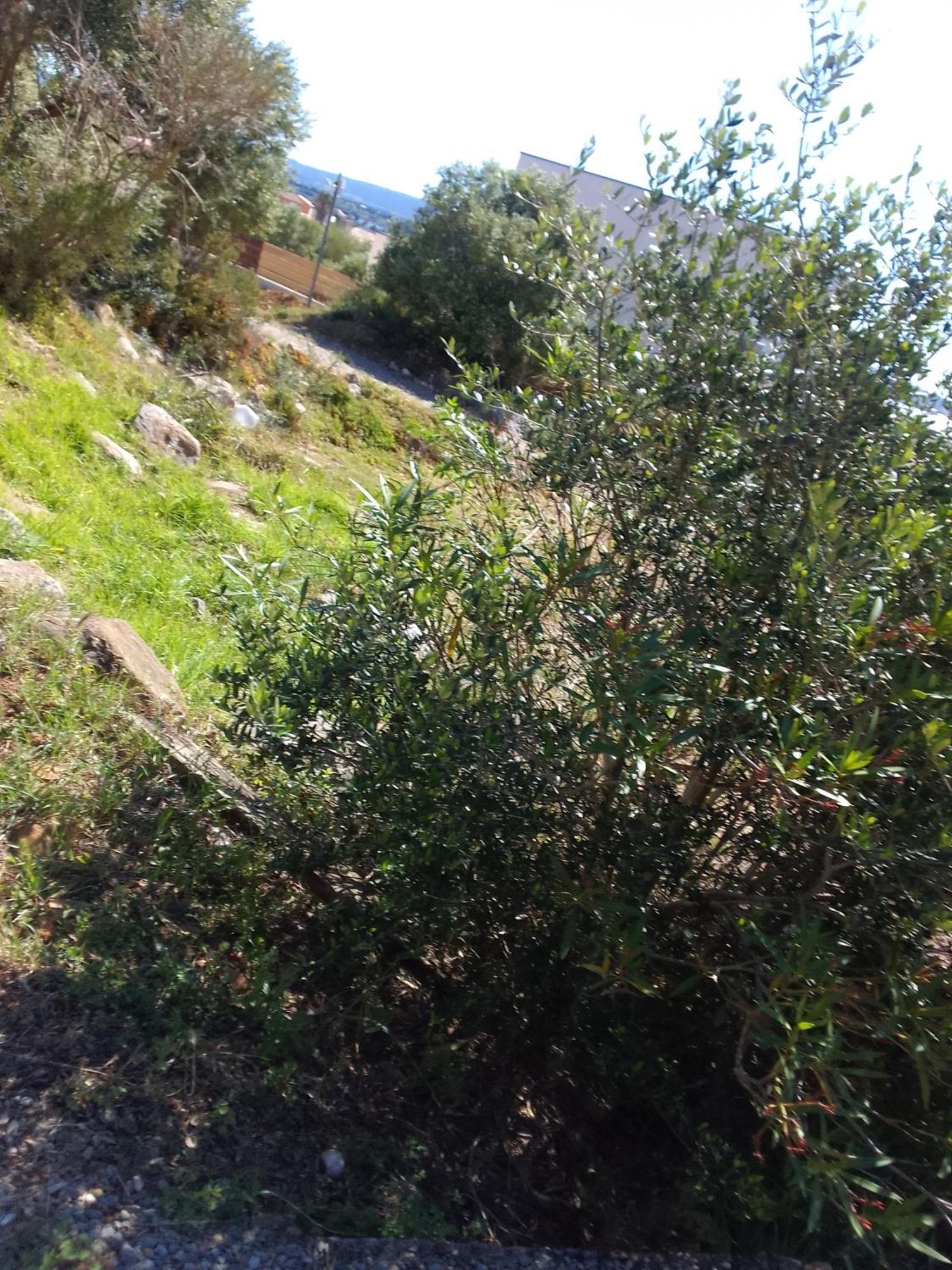 Gite De L'Etang Proche Des Grands Buffets ناربون المظهر الخارجي الصورة